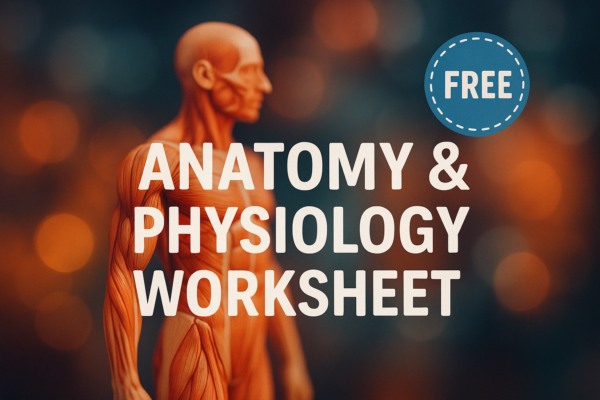 Free Anatomy and Physiology Worksheet Cover
