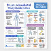 Musculoskeletal Study Guide Notes