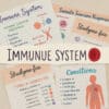 Immune Study Guide Notes