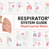 Respiratory system guide preview